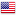 US Flag