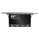 Open with Hisense 55E6NT, front-facing food manufacturing digital signage cabinet